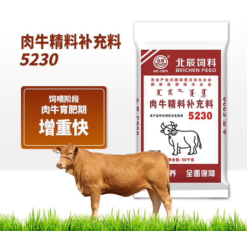 深圳肉牛精补料5230