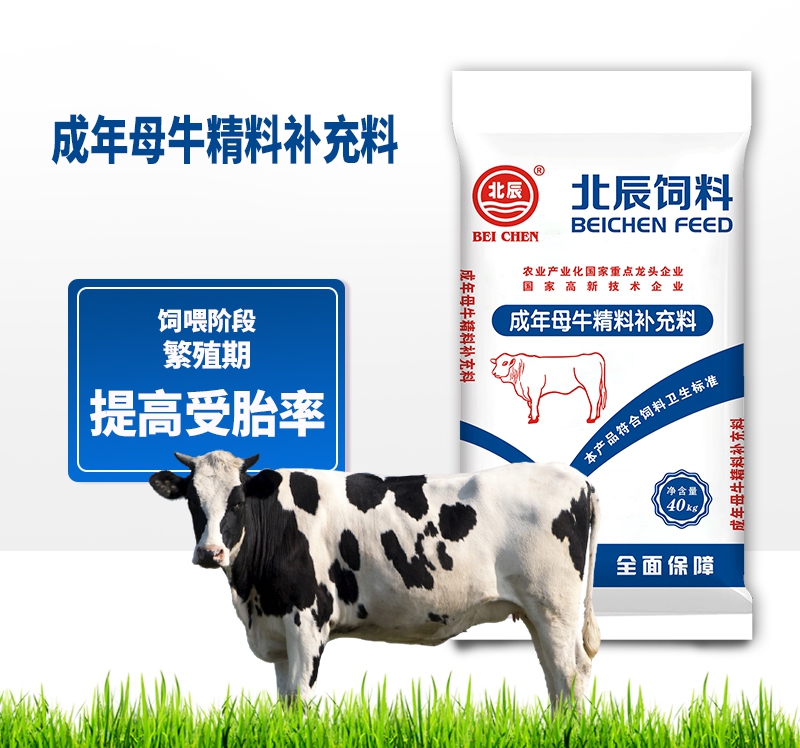 忻州成年母牛精料补充料