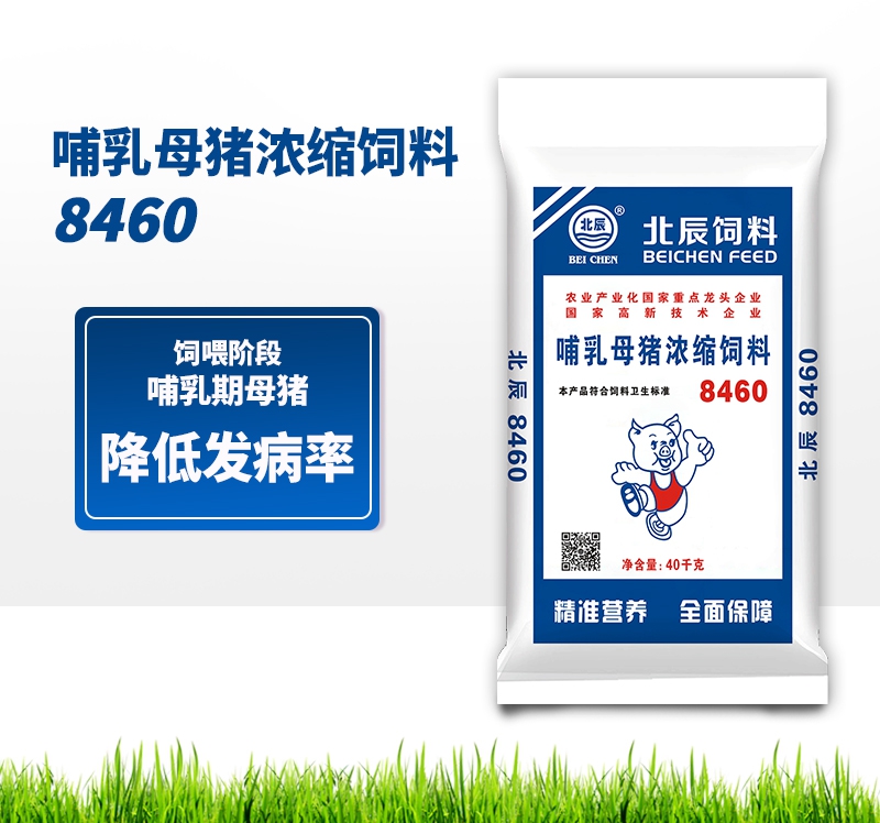 呼伦贝尔哺乳母猪浓缩饲料8460