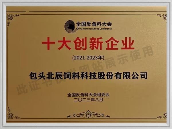 十大创新企业